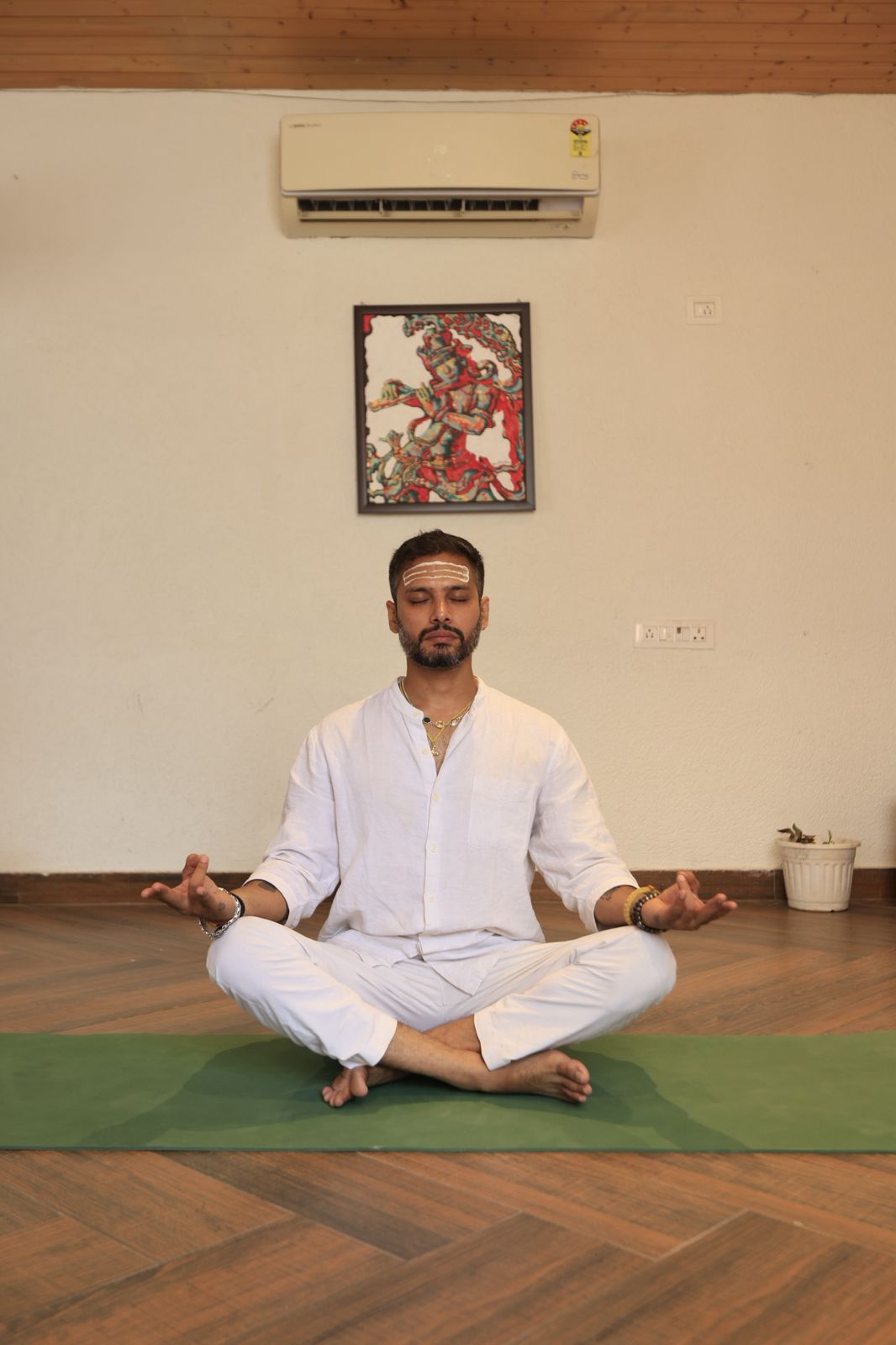 divineyogpeethgallery