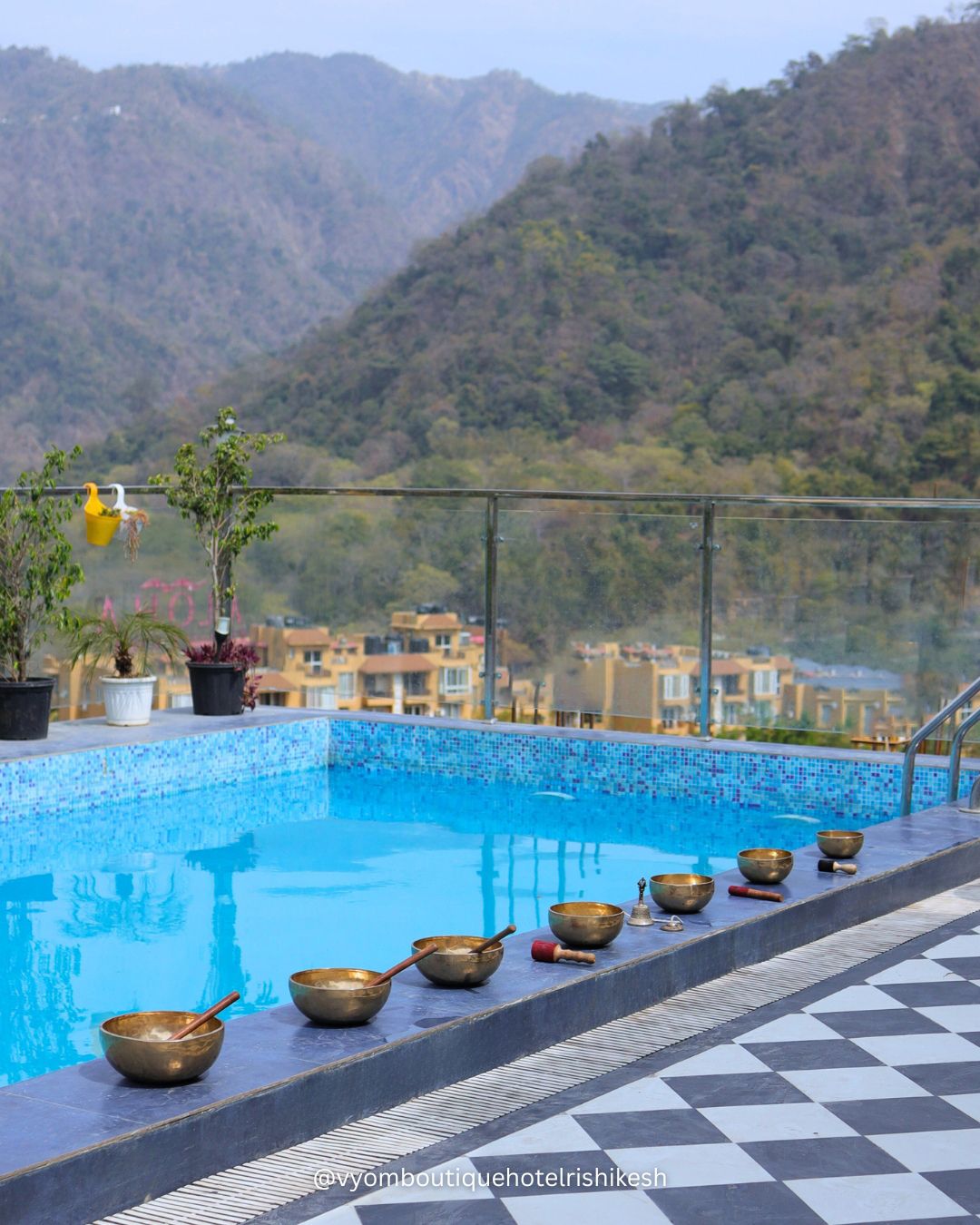 divineyogpeethgallery