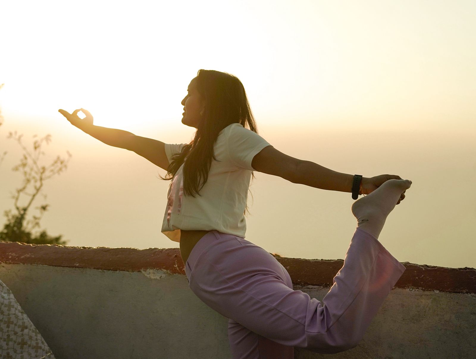 divineyogpeethgallery